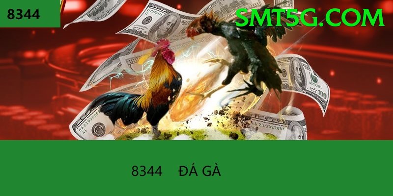 Đá Gà Trực Tiếp - aev99