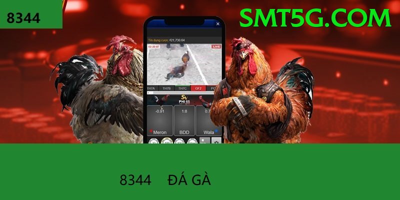 Đá Gà Trực Tiếp - Trải nghiệm tuyệt vời